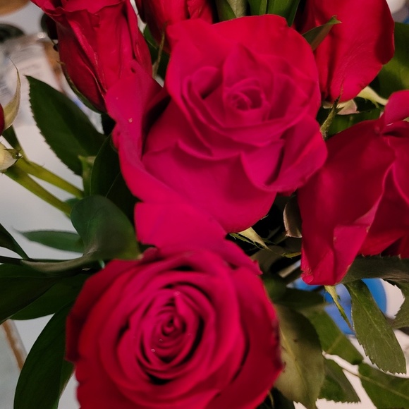 Meet your Posher, R - Picture 1 of 1